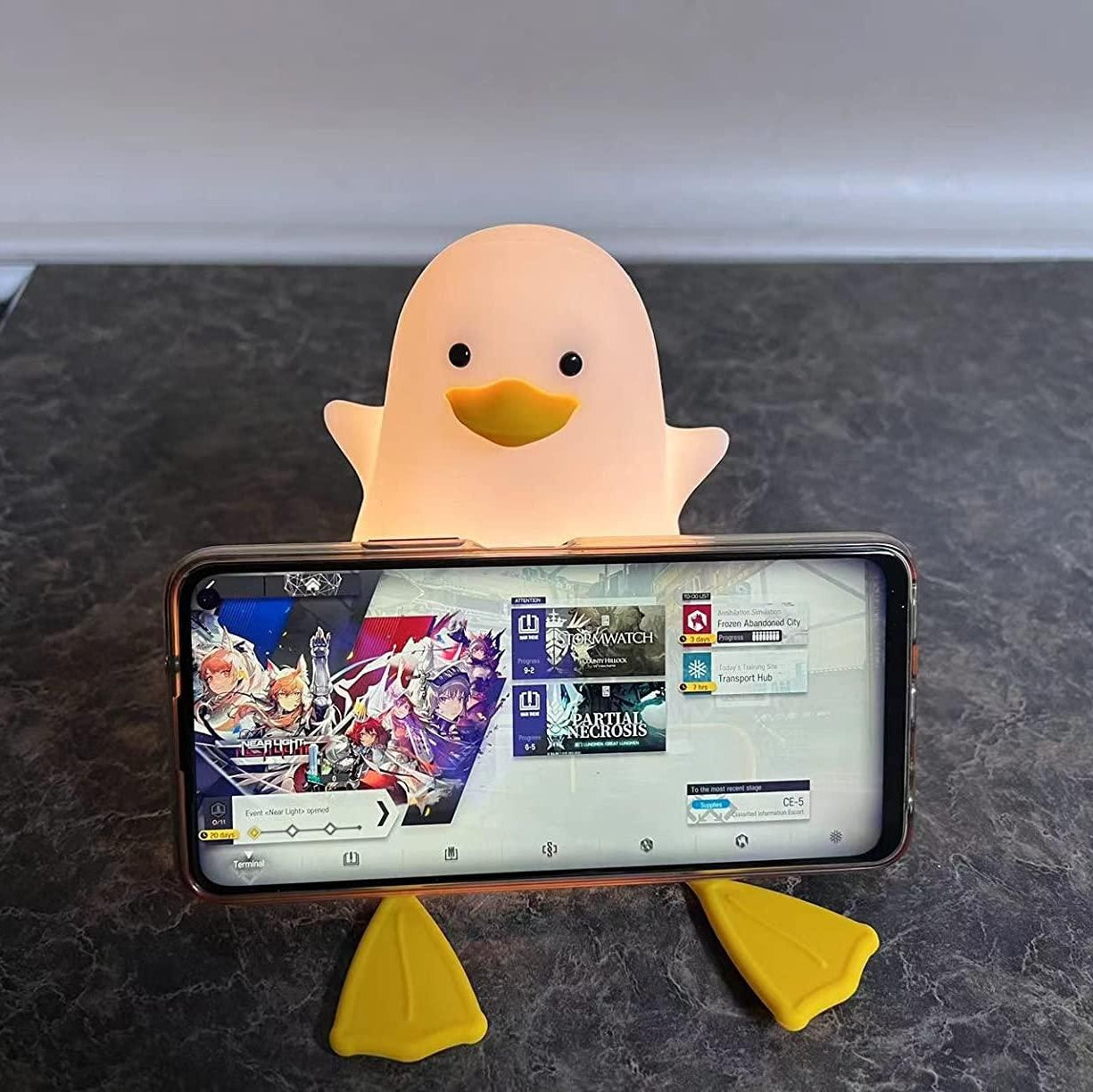 Duck Lamp