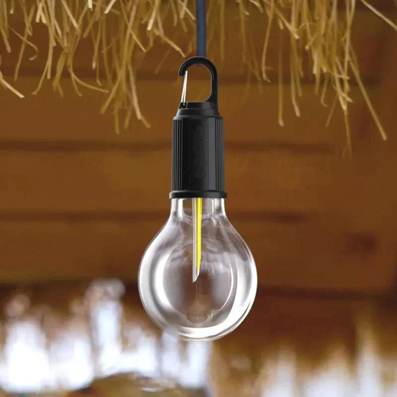 Rechargeable Bulb With Hook