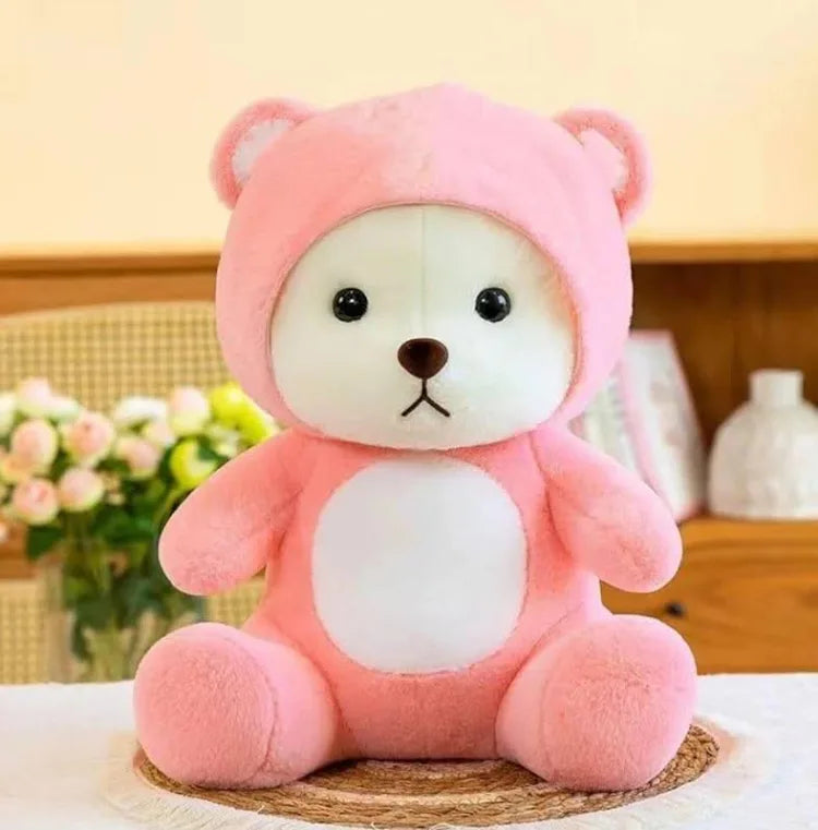 Hoodie Teddy Bear