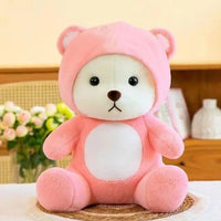 Hoodie Teddy Bear